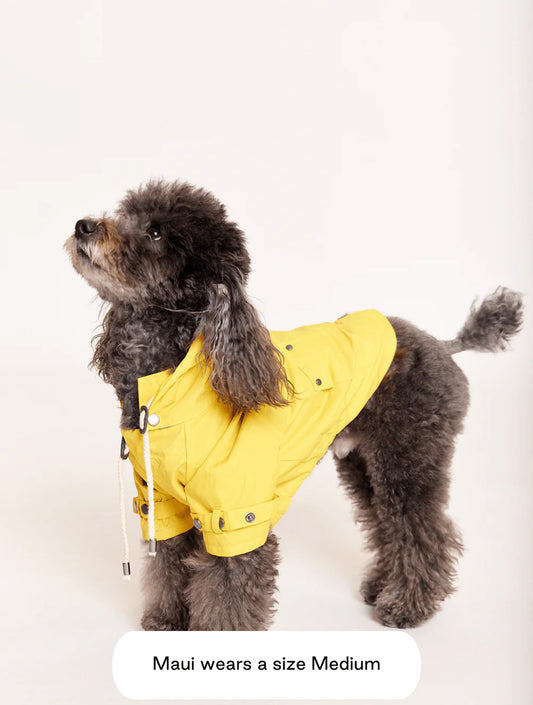 Talon Raincoat - Yellow (hover)