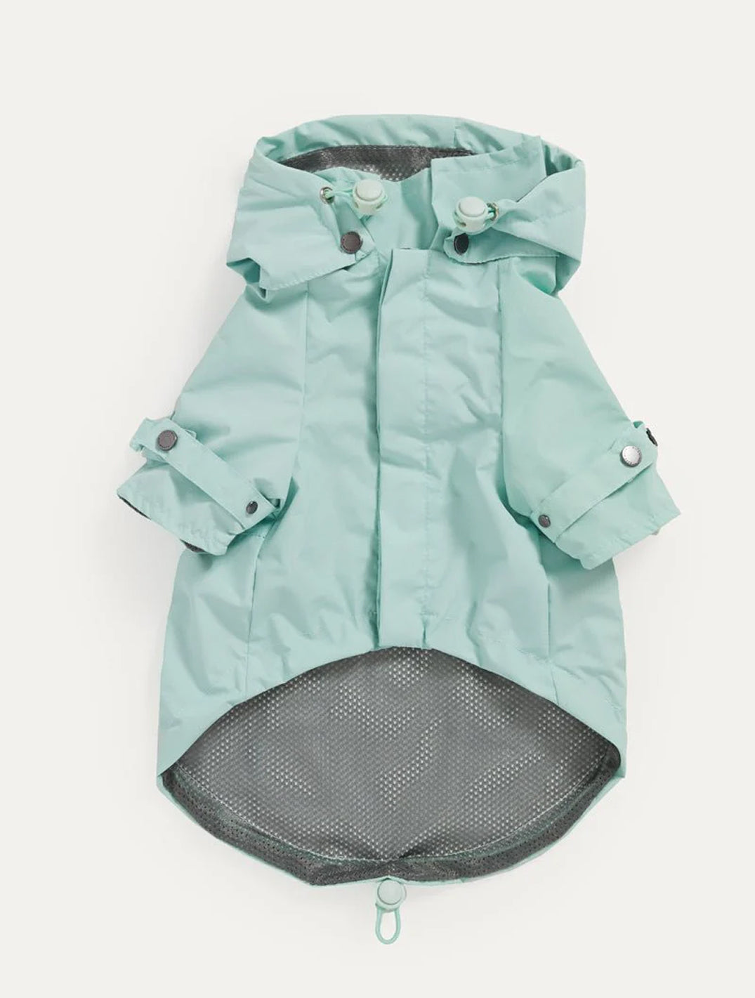 Mint