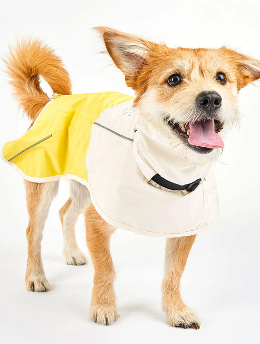 Venture Rain Jacket - Yellow & Cream (hover)