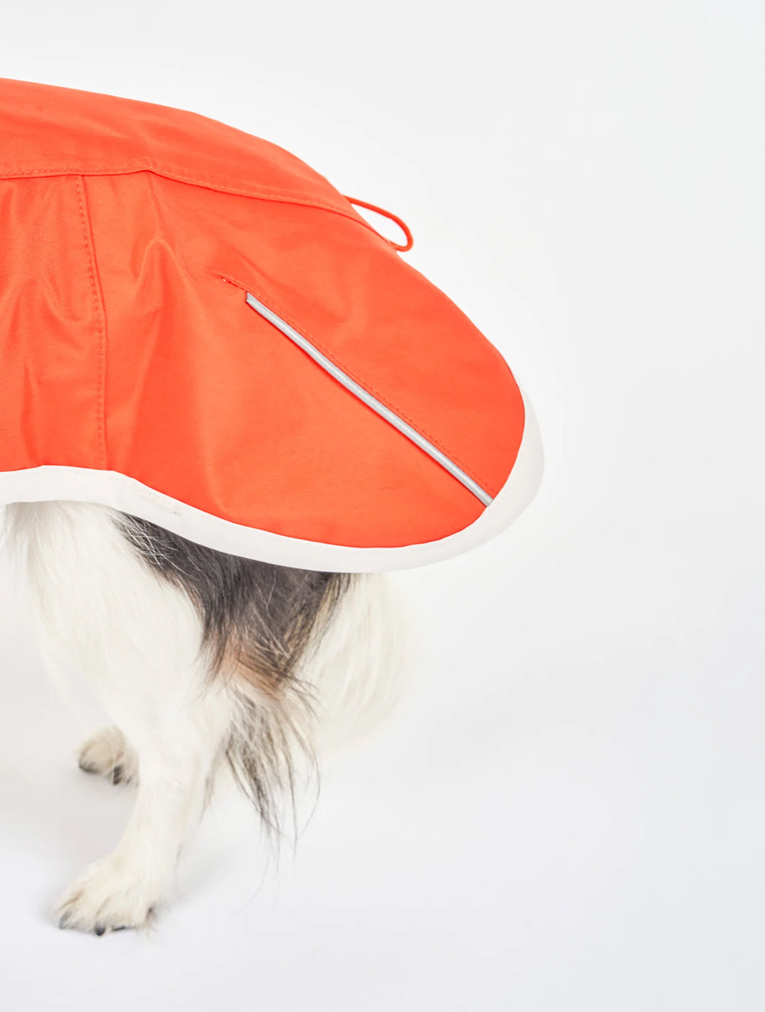 Orange & Gray