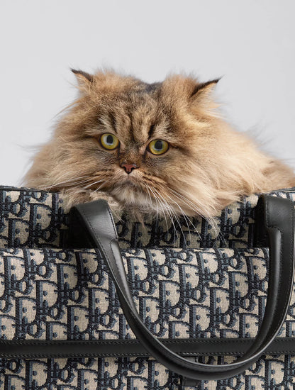 Dior Hit the Road Pet Carrier Bag