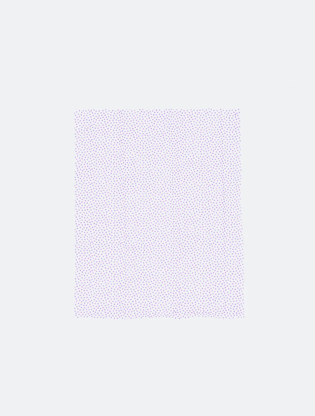 Dog Sneaker Wipes- 30 Pack