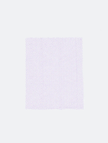 Dog Sneaker Wipes- 30 Pack