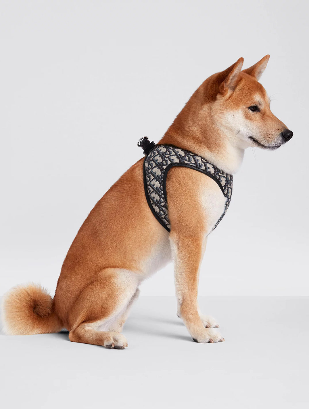 Pet Harness
