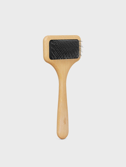 Dog Brush In Wood