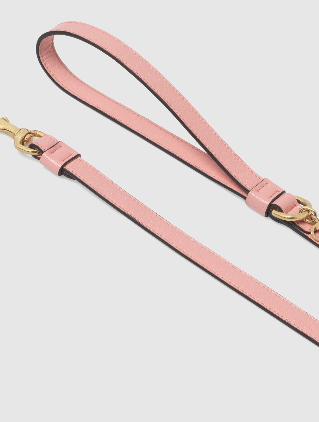 Extra-Small Pet Leash