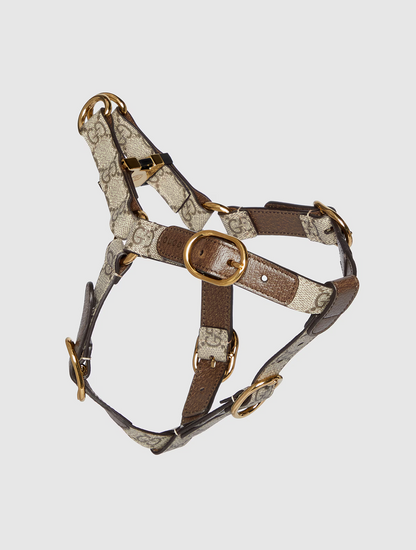 Pet Harness