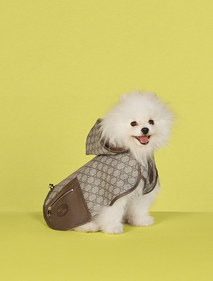 Pet GG Coat