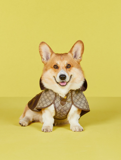 Pet GG Coat