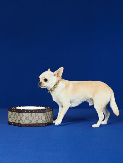 Hexagon GG Pet Bowl