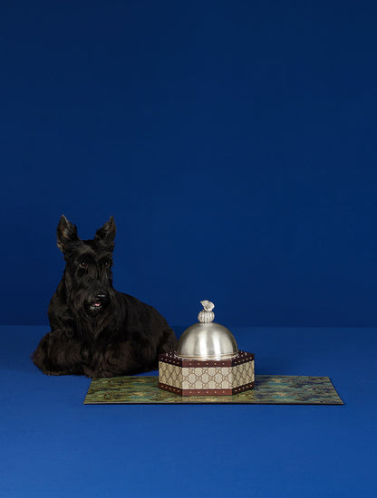 Hexagon GG Pet Bowl