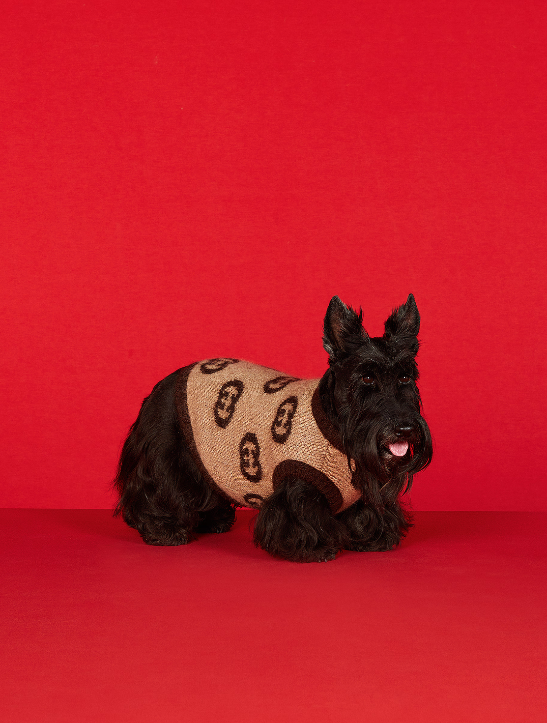 Pet Wool Blend Sweater with Interlocking G