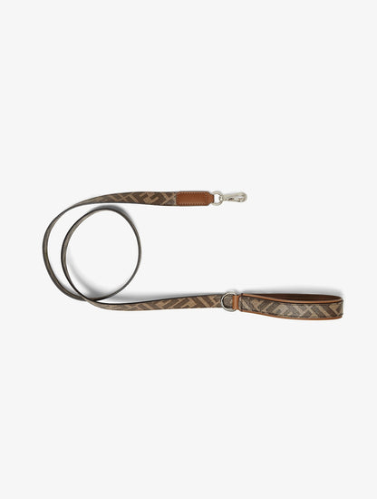 Dog Leash