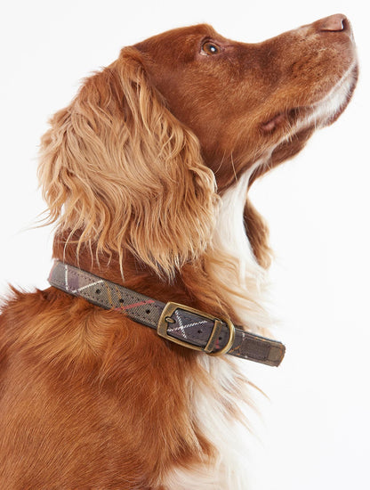 Tartan Dog Collar