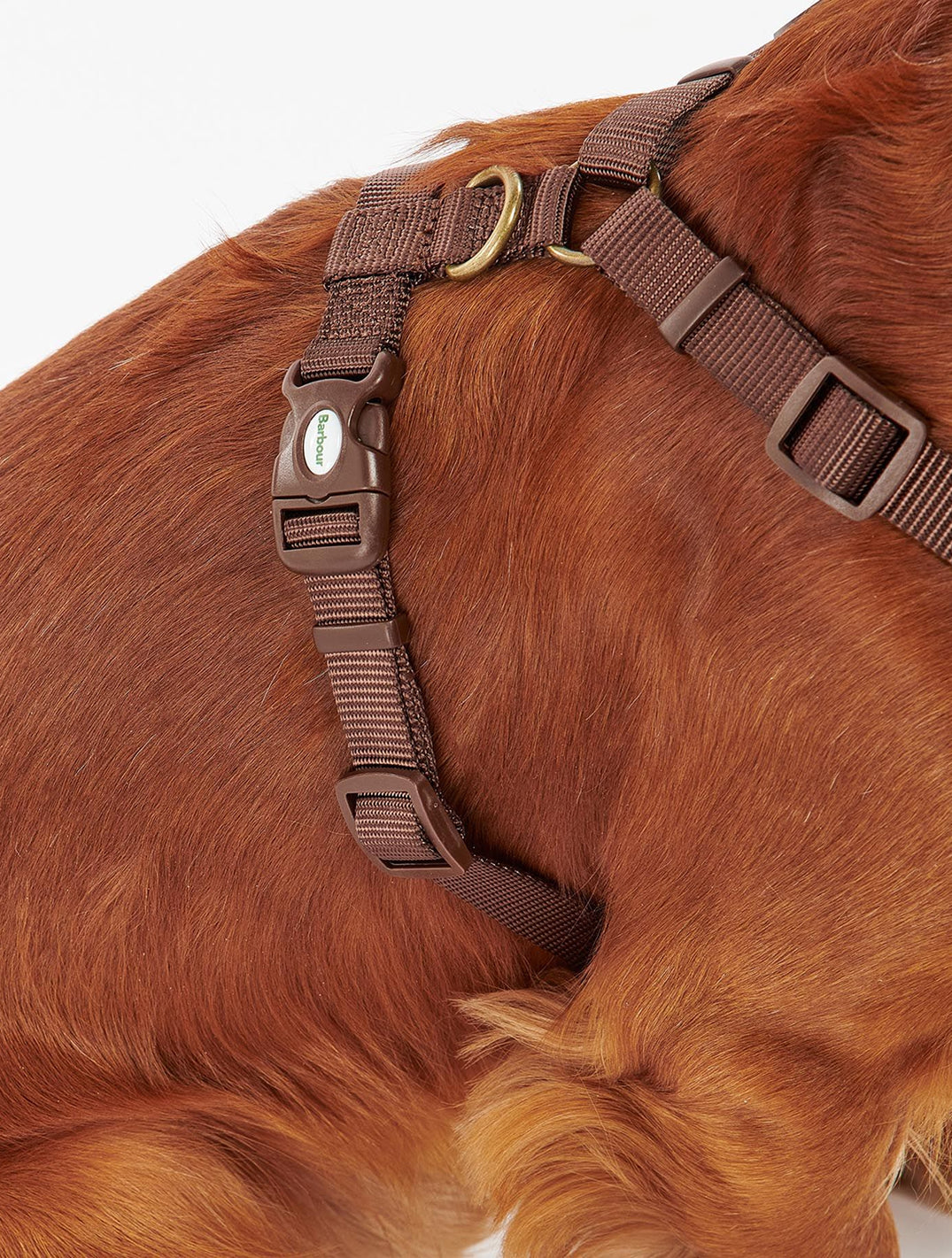 Travel And Exercise Harness