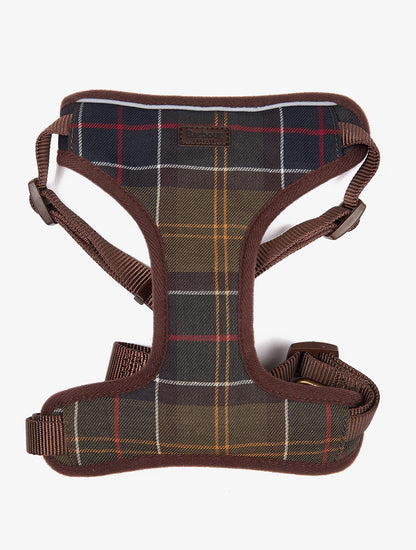 Travel And Exercise Harness