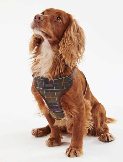 Travel And Exercise Harness