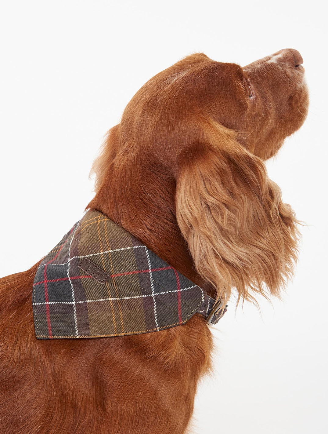 Tartan Bandana