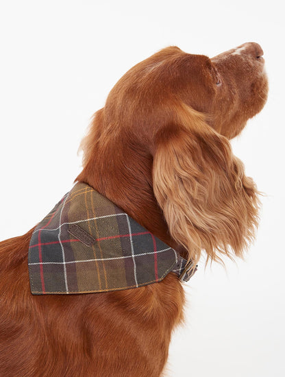 Tartan Bandana