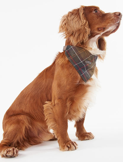 Tartan Bandana
