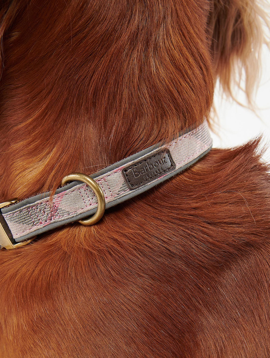 Reflective Tartan Dog Collar