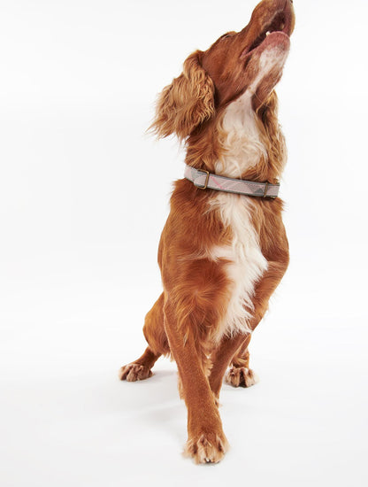 Reflective Tartan Dog Collar
