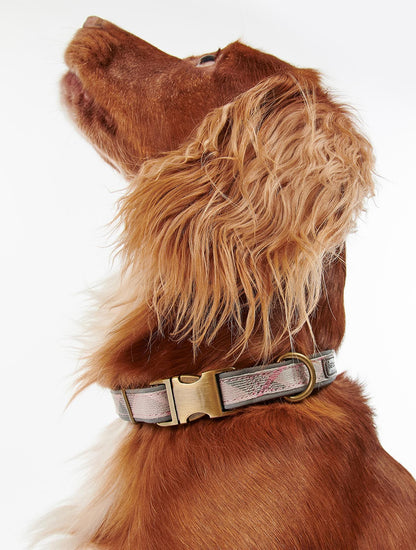 Reflective Tartan Dog Collar