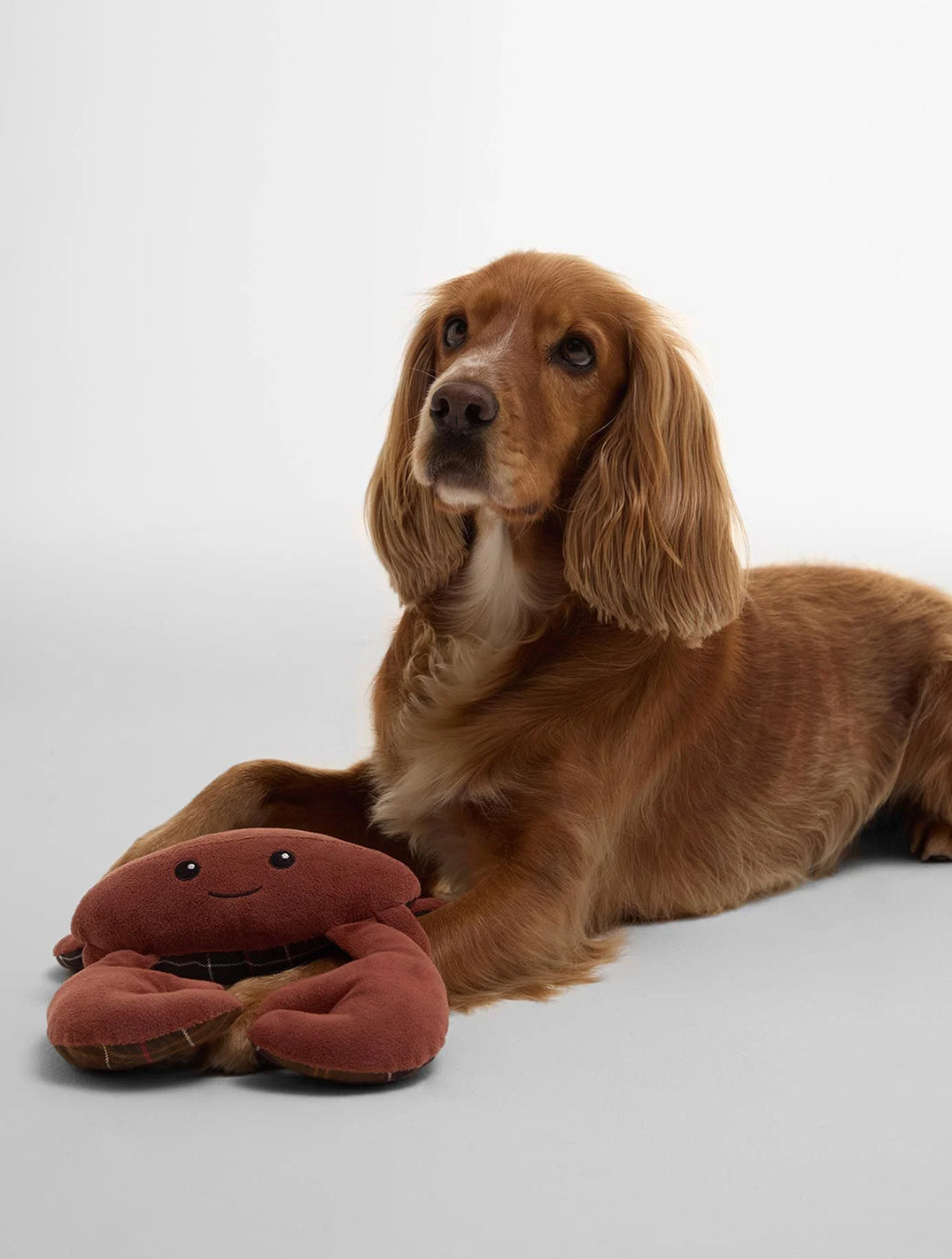 Crab Dog Toy