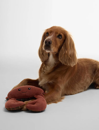 Crab Dog Toy