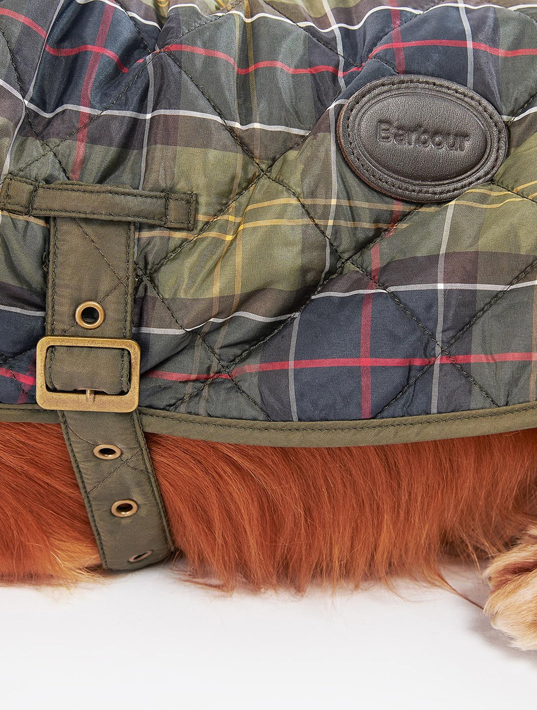Classic Tartan