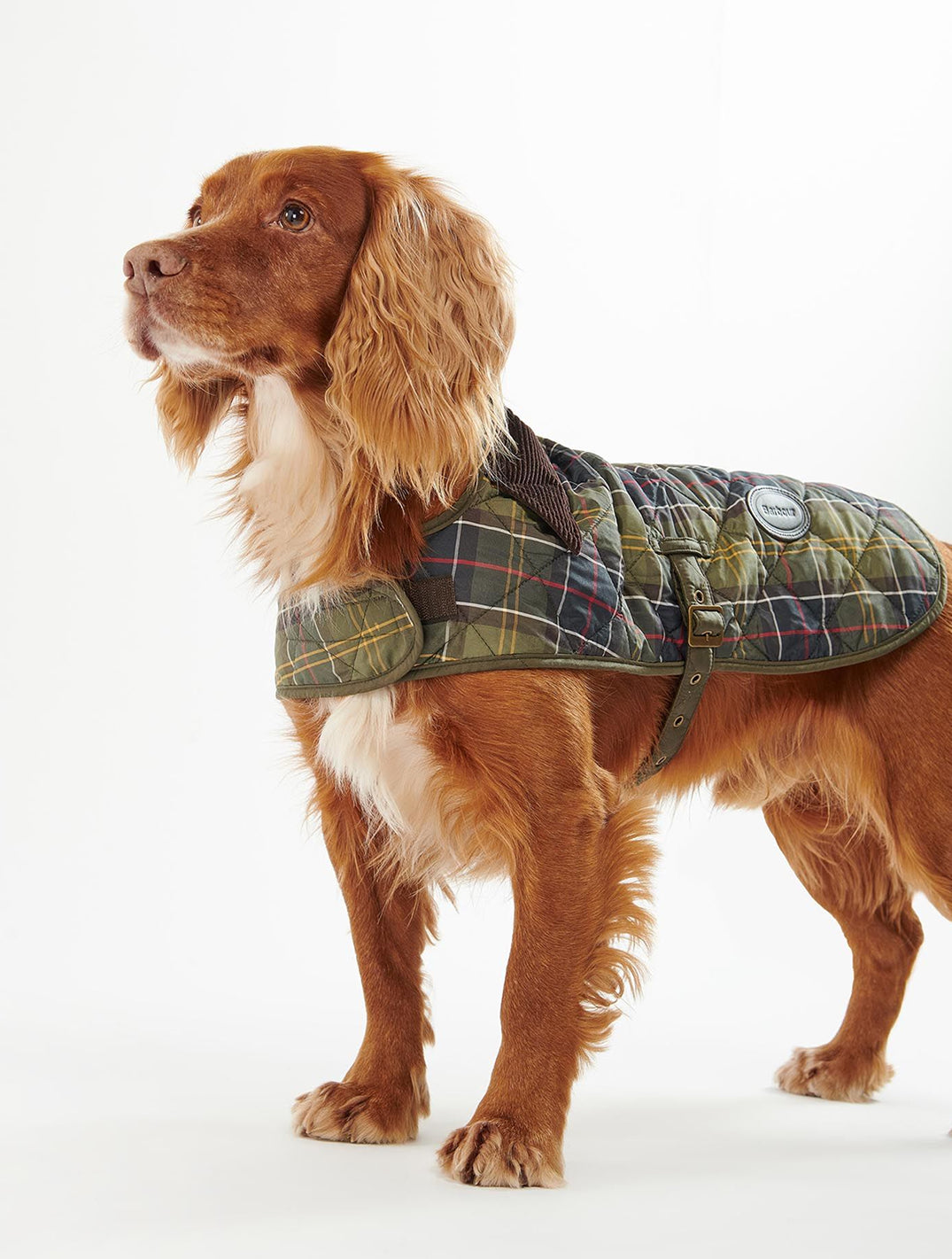 Classic Tartan