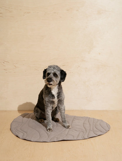 Dog Blanket Pony- Rollony