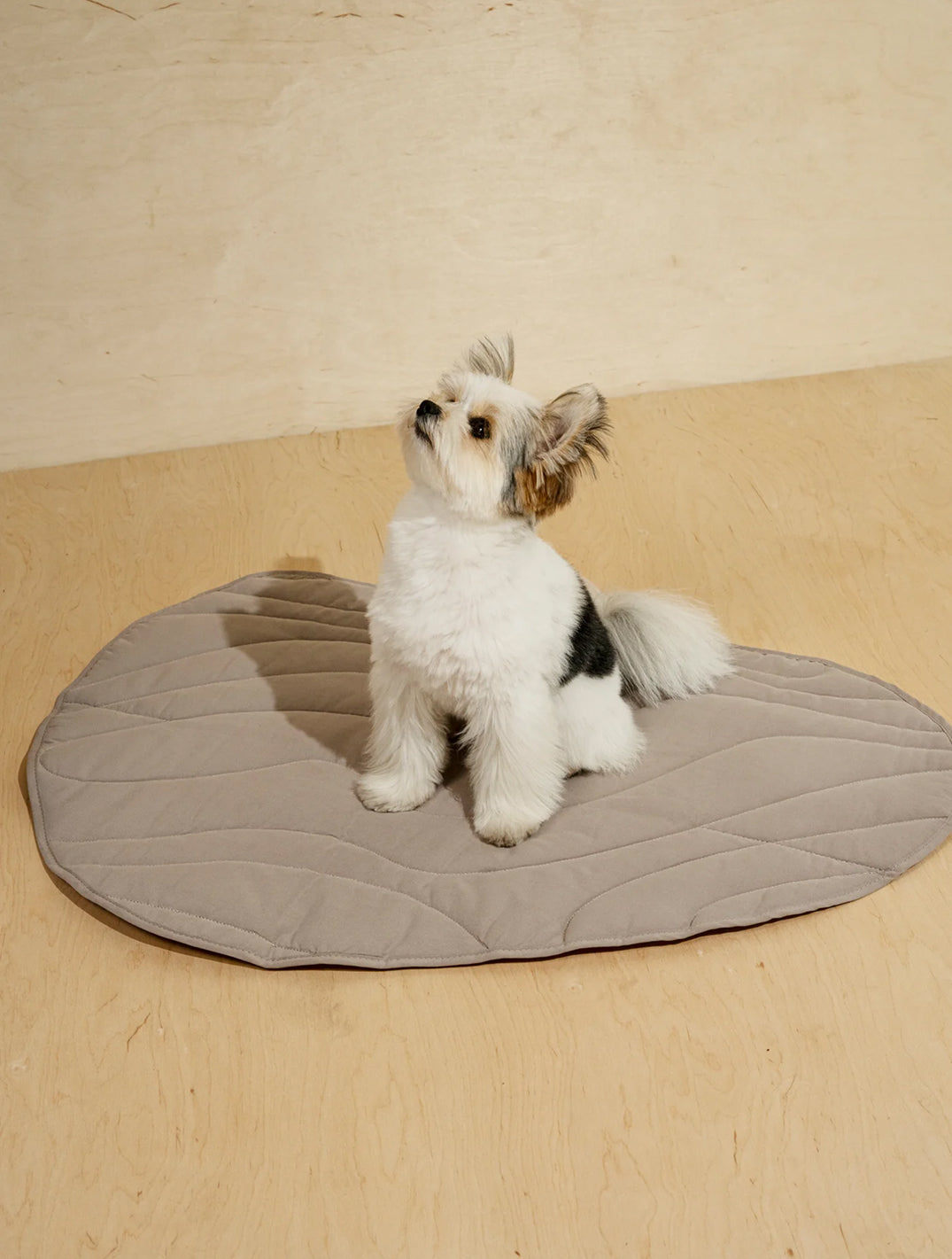 Dog Blanket Pony- Rollony