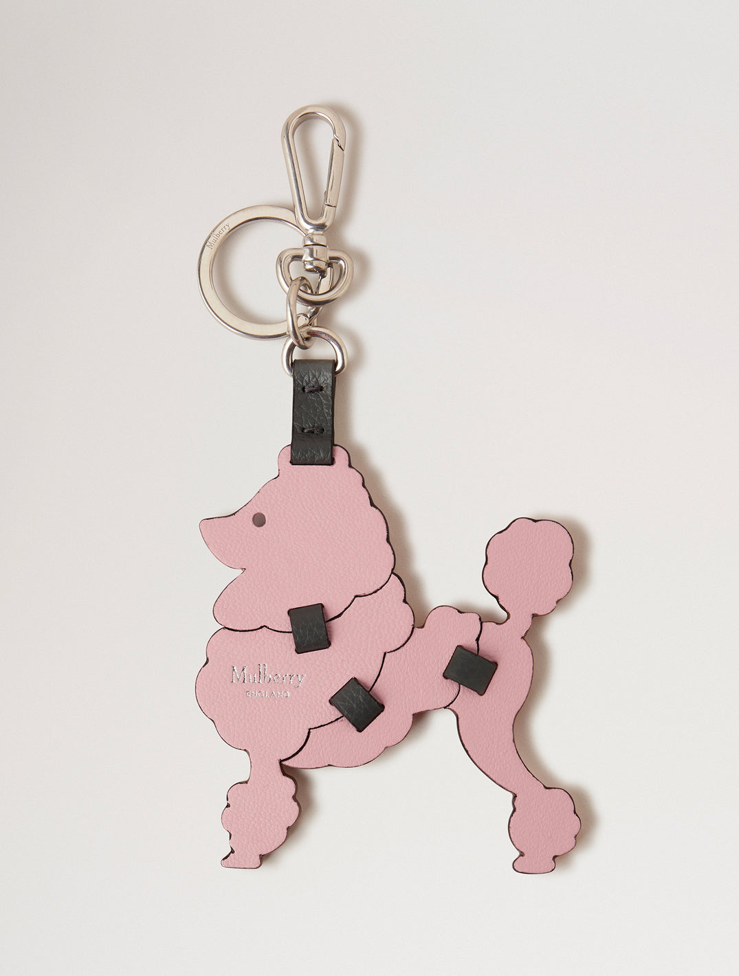 Poodle Dog