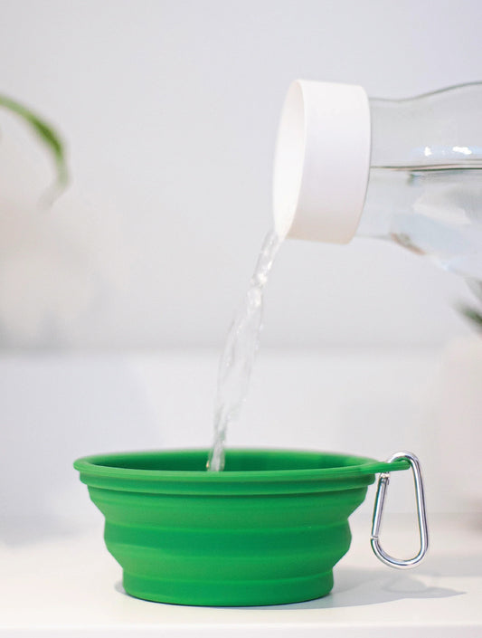 Water Bowl - Green