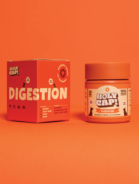 Digestion