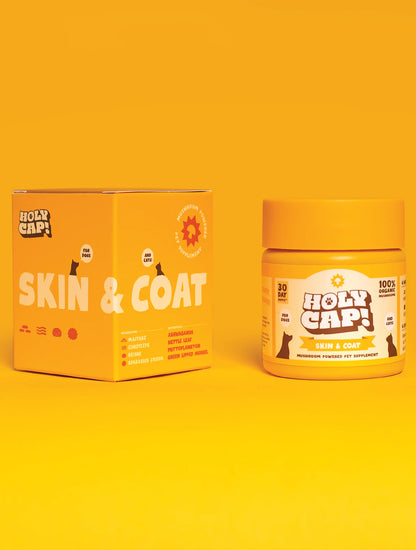 Skin & Coat