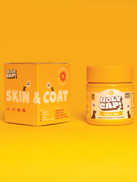 Skin & Coat
