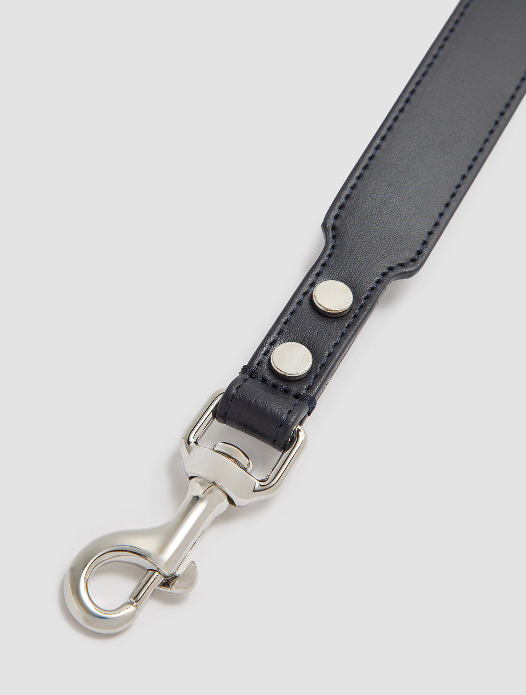 Logo Dog Leash