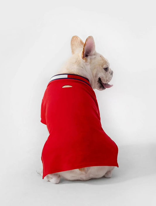 Dog Flag Collar Polo - Red (hover)
