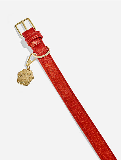 Dolce&Gabbana Fefé