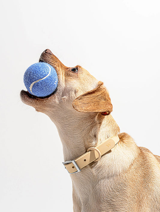 Tennis Ball - Moonstone (hover)