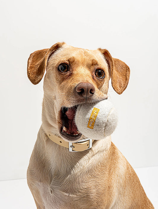 Tennis Ball - White (hover)