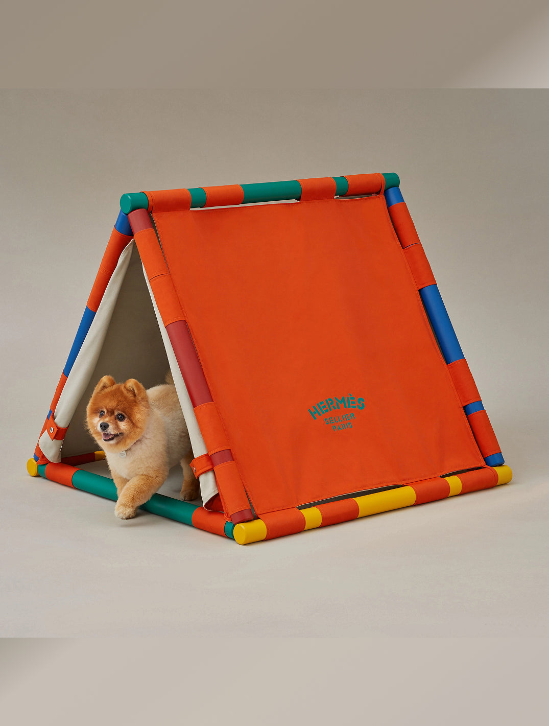Cavaletti Doghouse