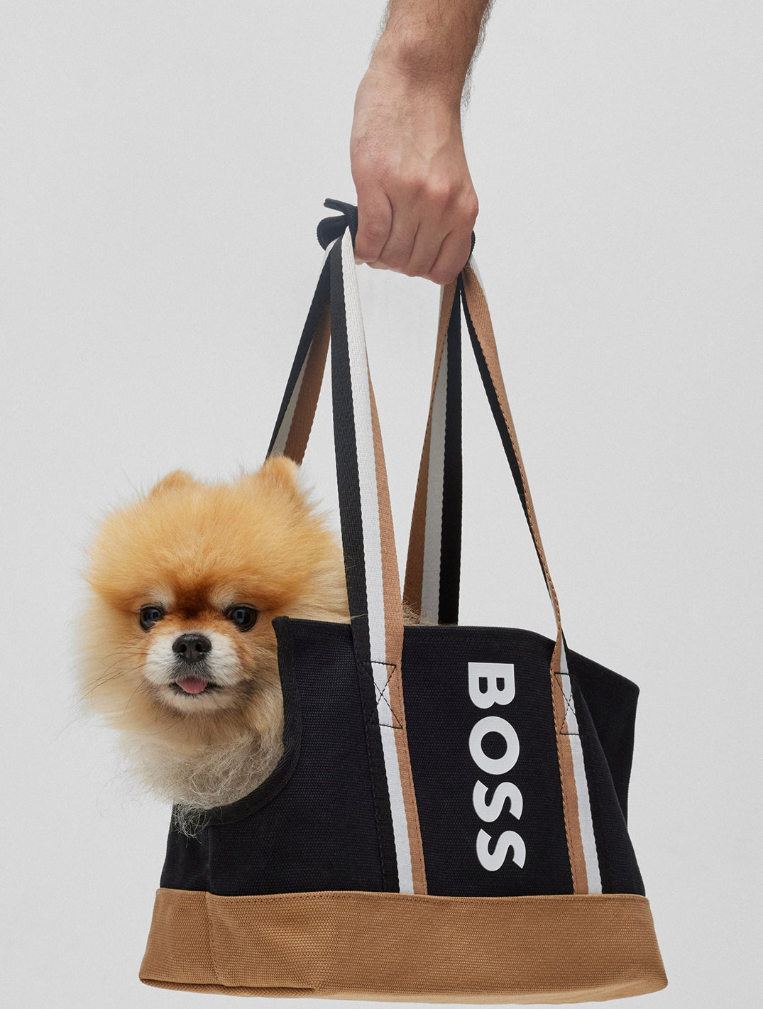 Logo Cotton- Canvas Tote Bag For Dogs