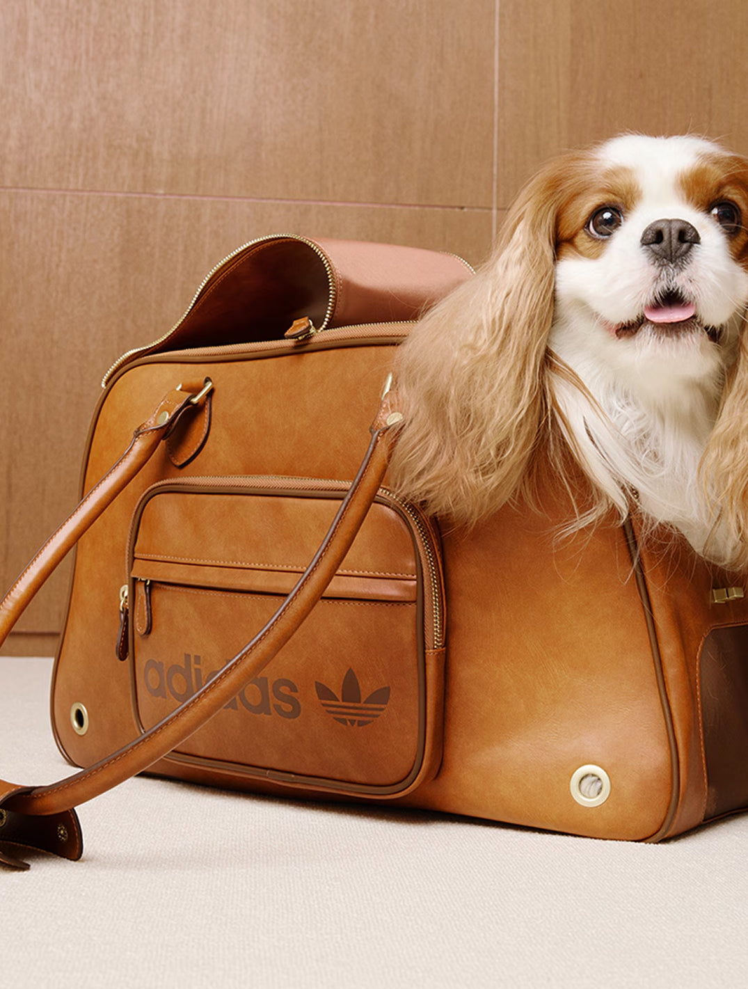 ★Adidas★ Pet Carrier Shoulder Bag Brown Limited Edition Dog Carrier Shoulder Bag by Adidas | LazyPie ®
