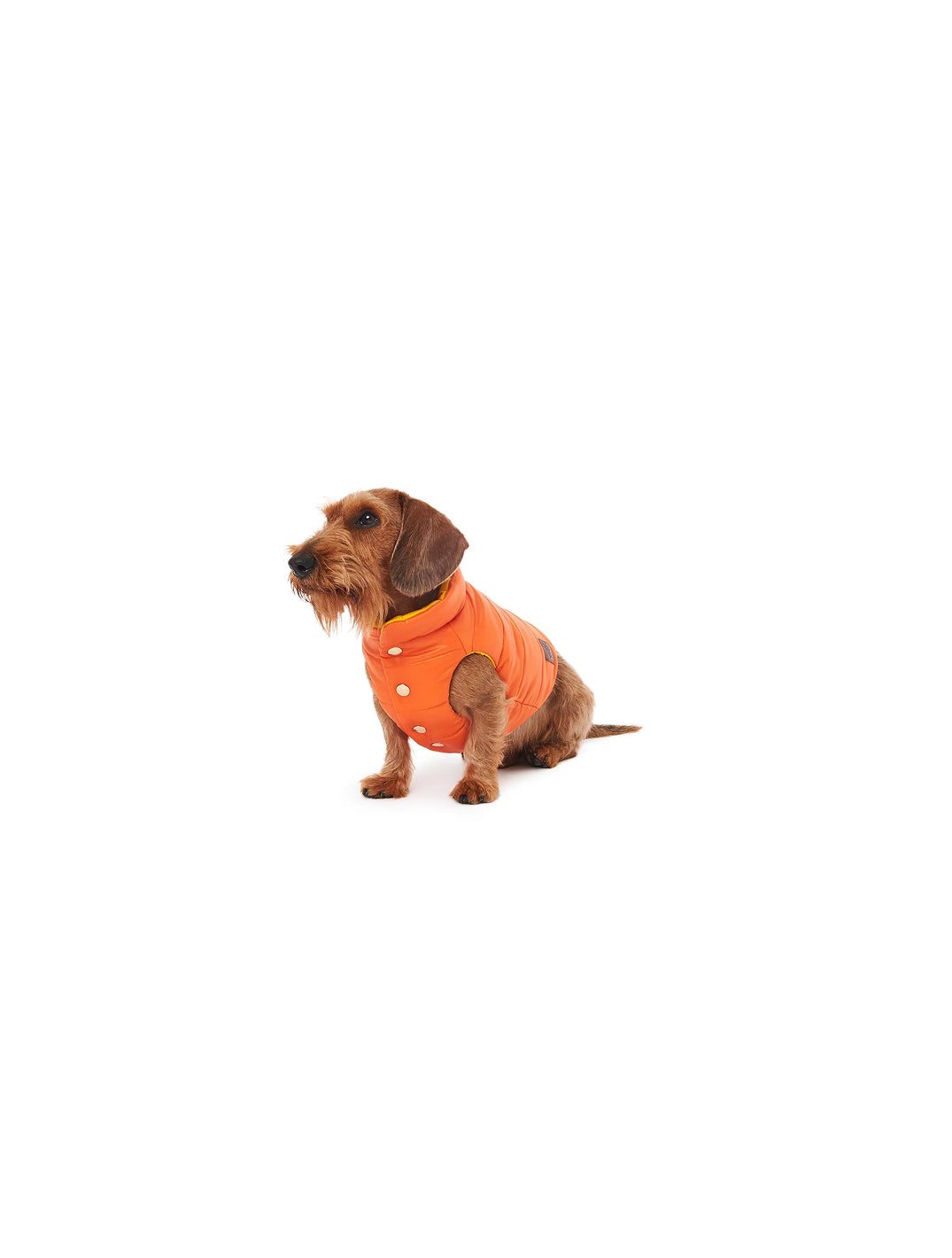 Orange and Yellow