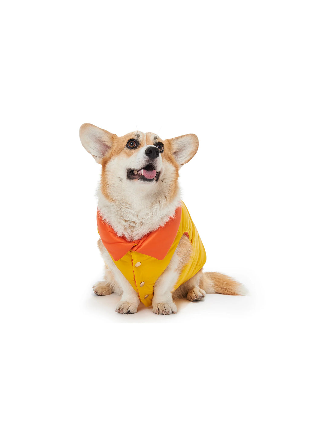 Orange and Yellow