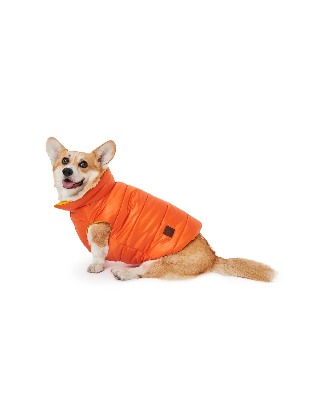 Orange and Yellow