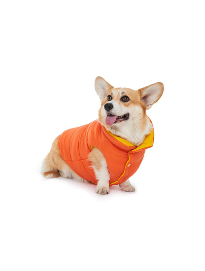Orange and Yellow